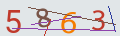 verifycode